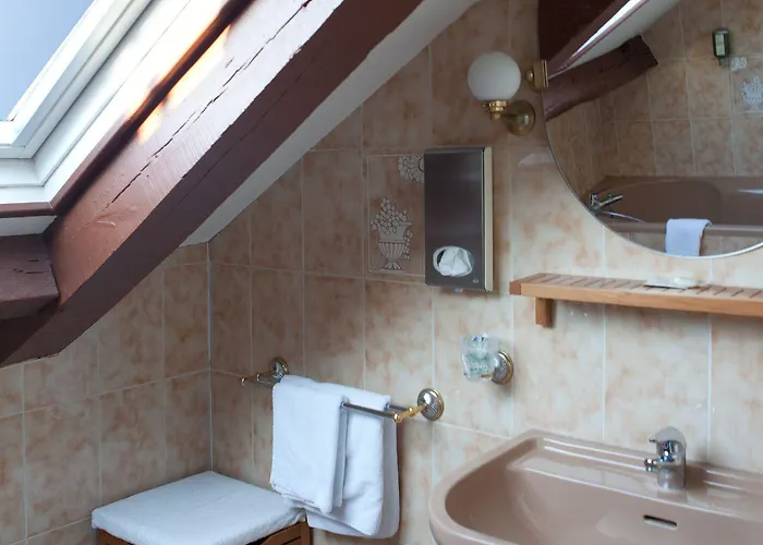 Dandy Centre 3* روان