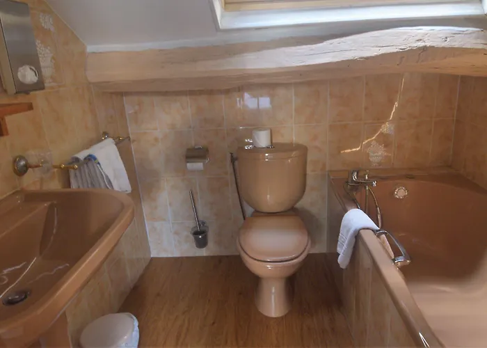 Dandy Centre فندق