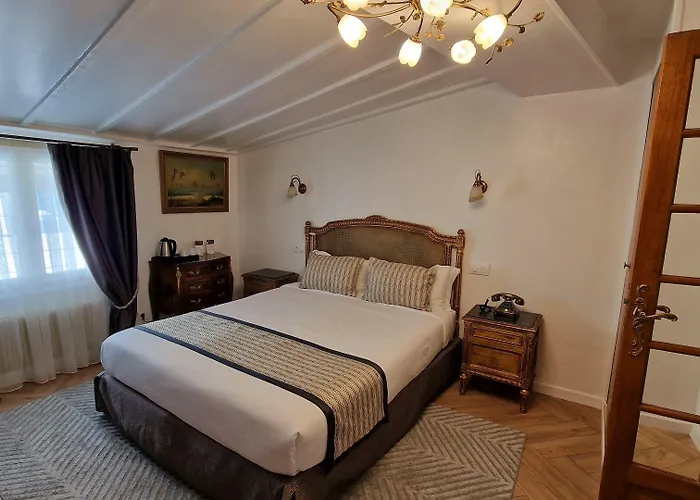 Dandy Centre فندق