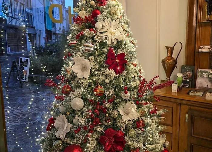 Dandy Centre فندق